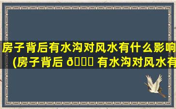 房子背后有水沟对风水有什么影响(房子背后 🐒 有水沟对风水有什么影响嘛)